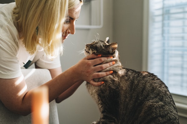 PawsFirst Veterinary team with happy pets in the clinic
